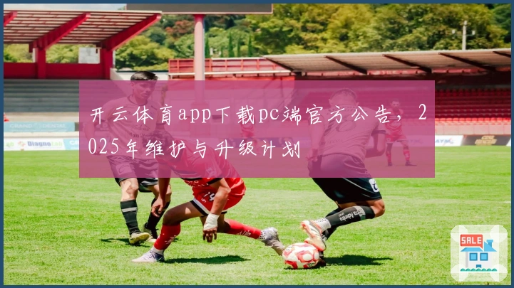 开云体育app下载pc端官方公告，2025年维护与升级计划